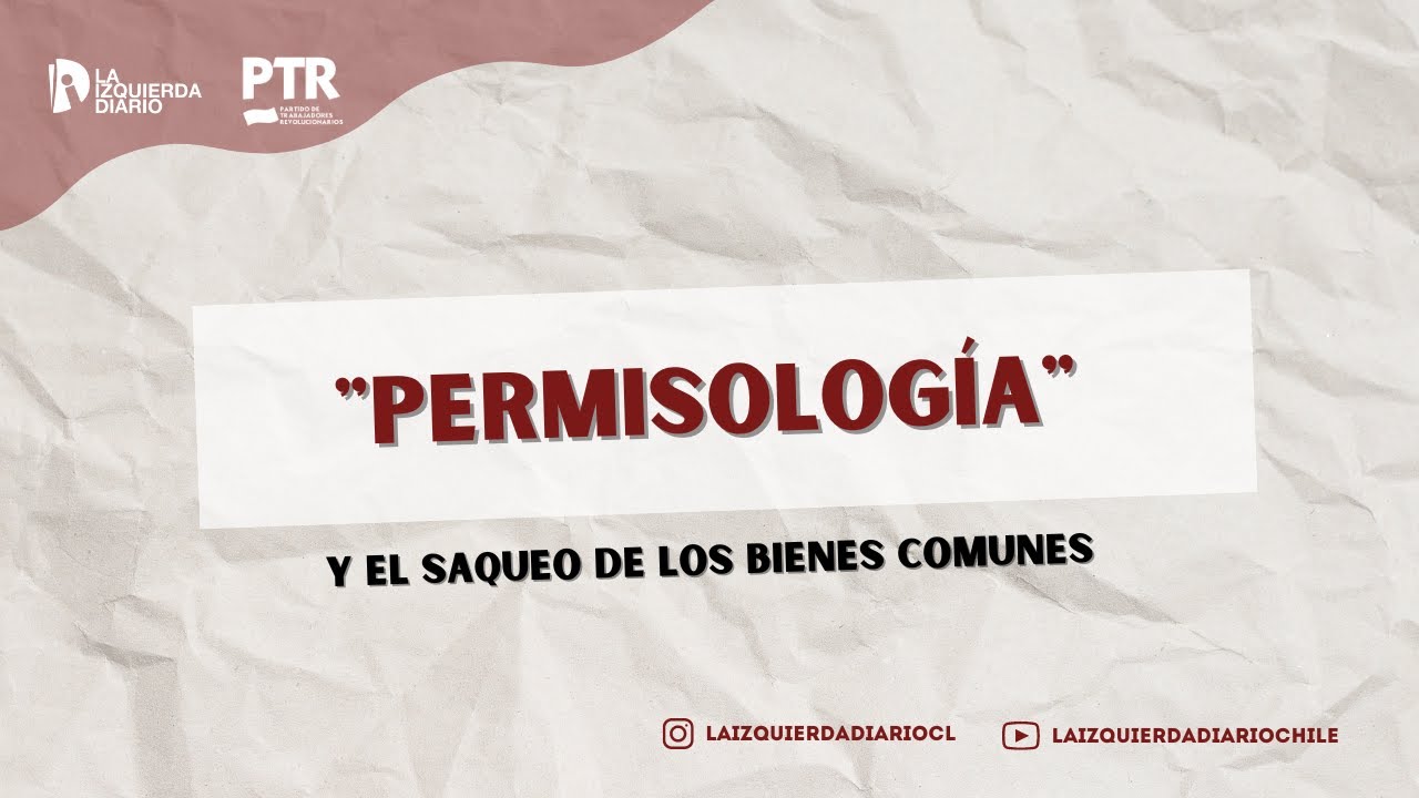 &iquest;Qu&eacute; es la permisolog&iacute;a y que relaci&oacute;n tiene con el saqueo de los bienes comunes?