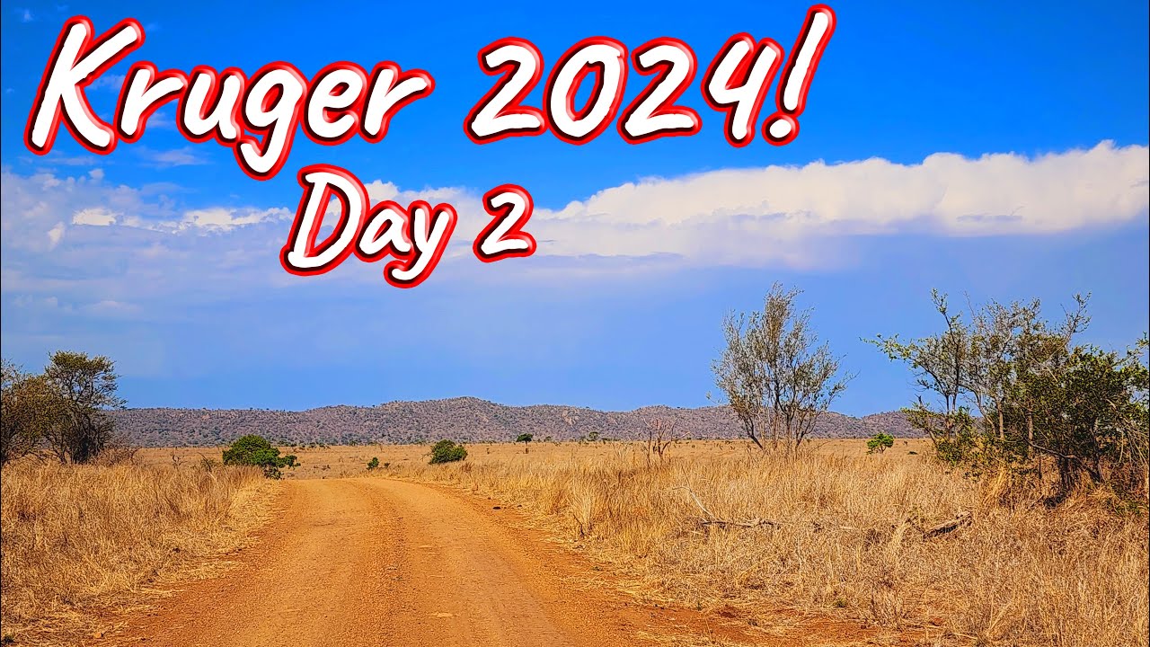 Day 2 &ndash; Kruger National Park! Ep 542