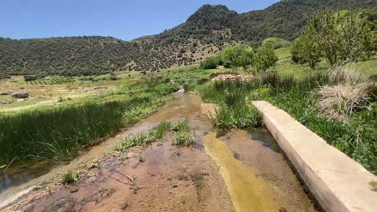 Zaouia d'Ifrane
