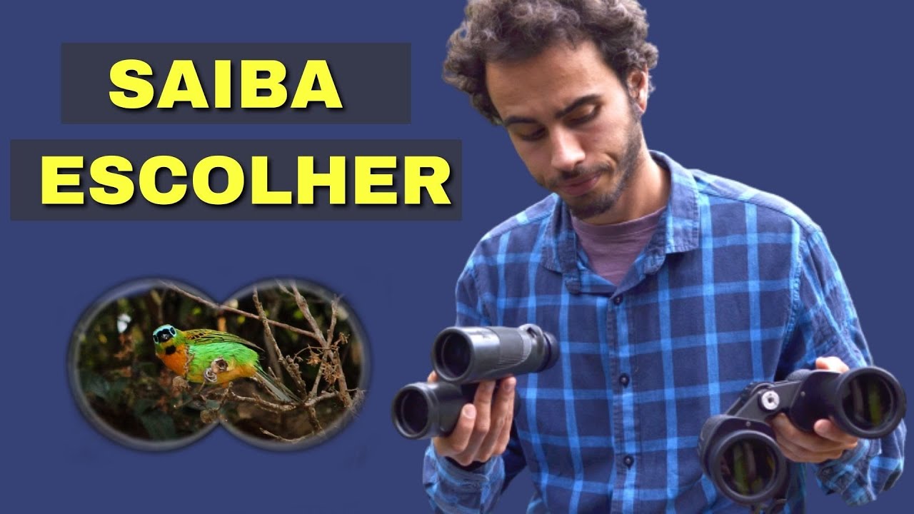 Como escolher um binóculo para observação de aves