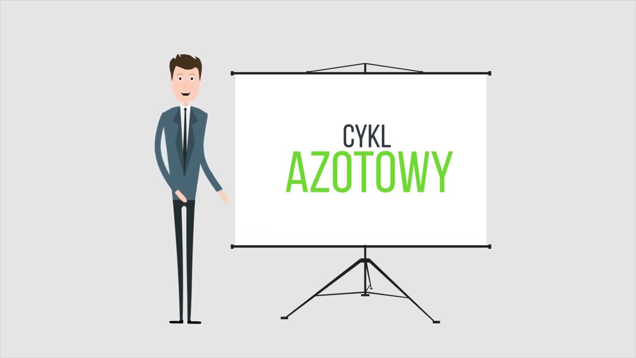 Bakterie nitryfikacyjne i cykl azotowy w akwarium (co to jest, jak działa)