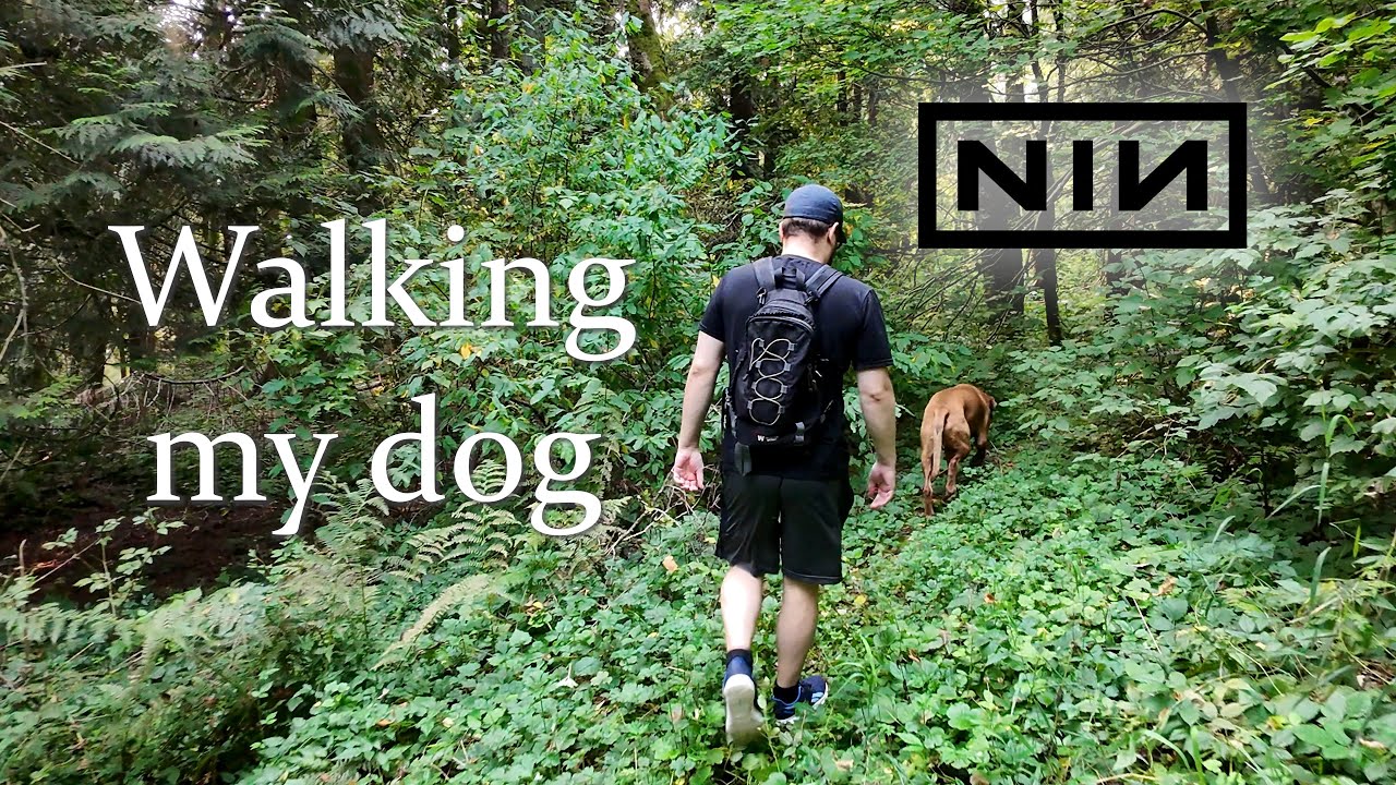 Dog Walking - Right Where It Belongs (Nine Inch Nails)