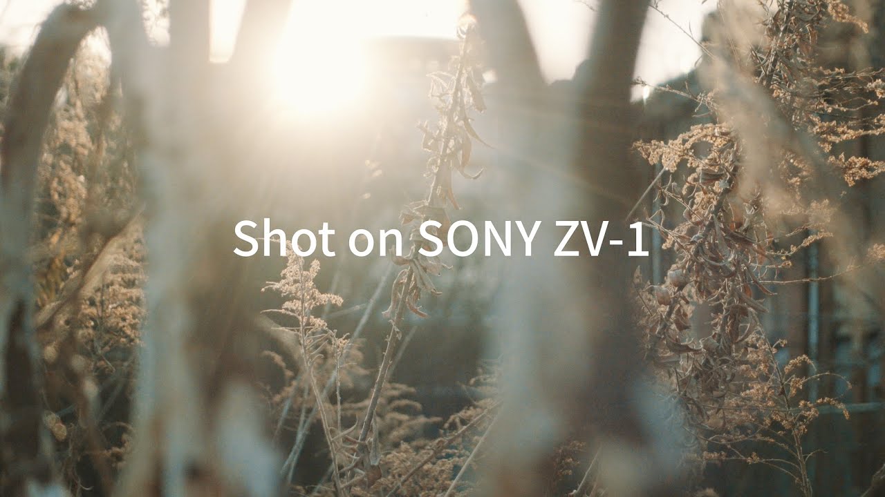 ZV-1 4K Video Bokeh and Light / S-Log3 and HLG2(709)