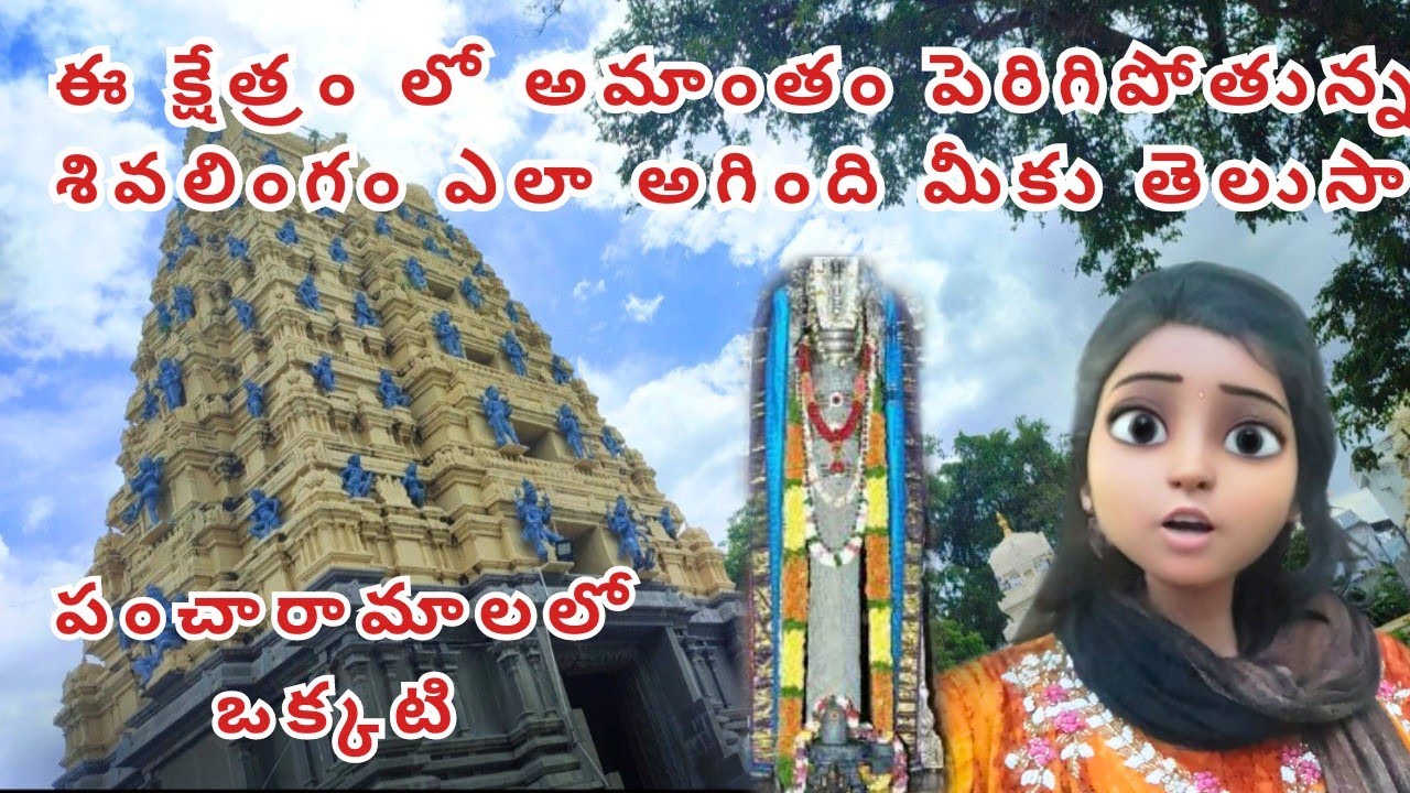 || ఈ క్షేత్రం లో అమాంతం పెరిగిపోతున్న శివలింగం ఎలా అగింది మీకు తెలుసా || Amaravati Amareswara swami