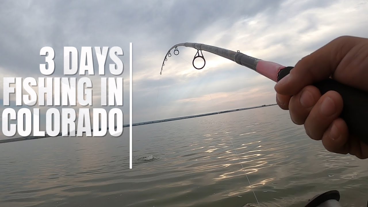 3 Days Fishing in Colorado! (Camping, Fishing & Cooking)