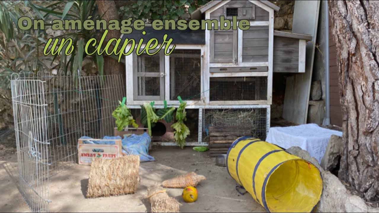 Aménagé un clapier pour son lapin