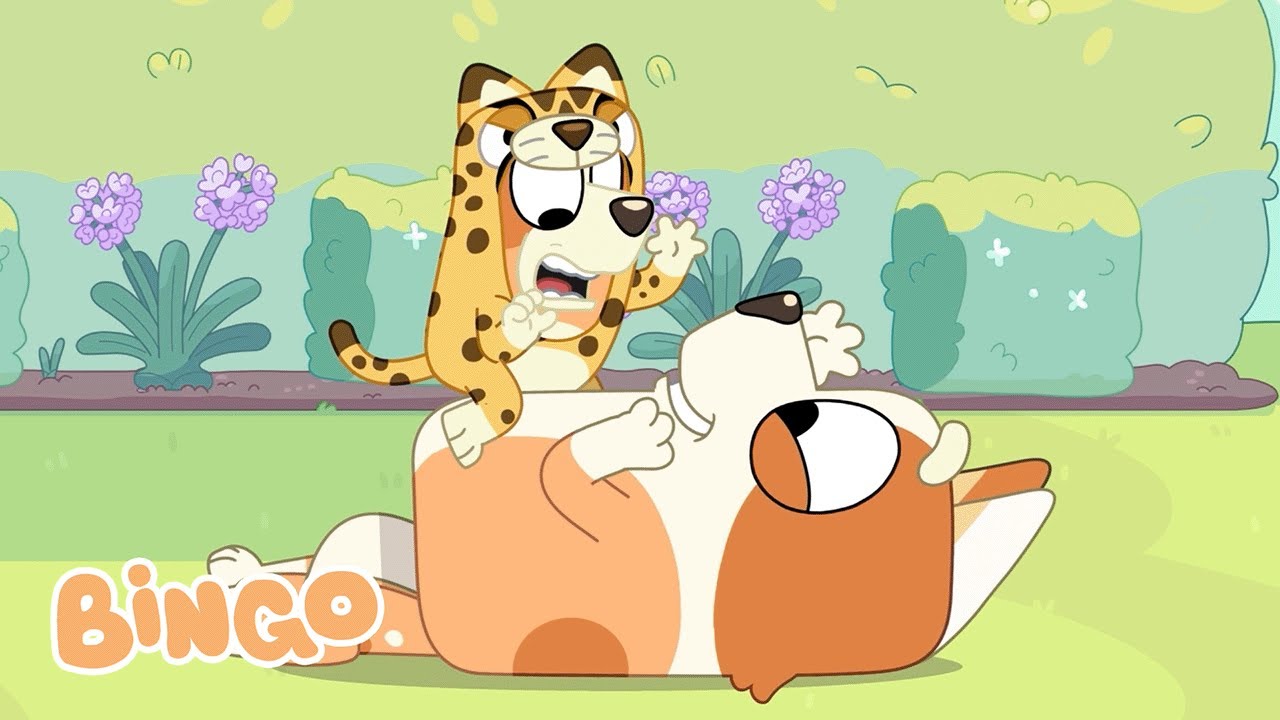 Bingo's New Cheetah Onesie 🐆 🧡 | Onesies Clip | Bingo - Official Channel