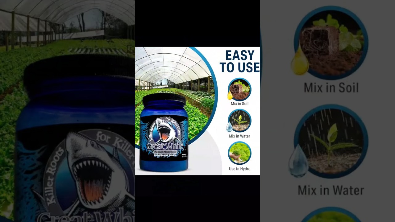 Great White Mycorrhizae Review 🌱 Explosive Root Growth in Days!