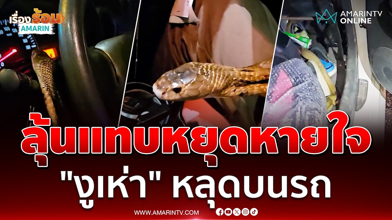 ลุ้น! แทบหยุดหายใจ 