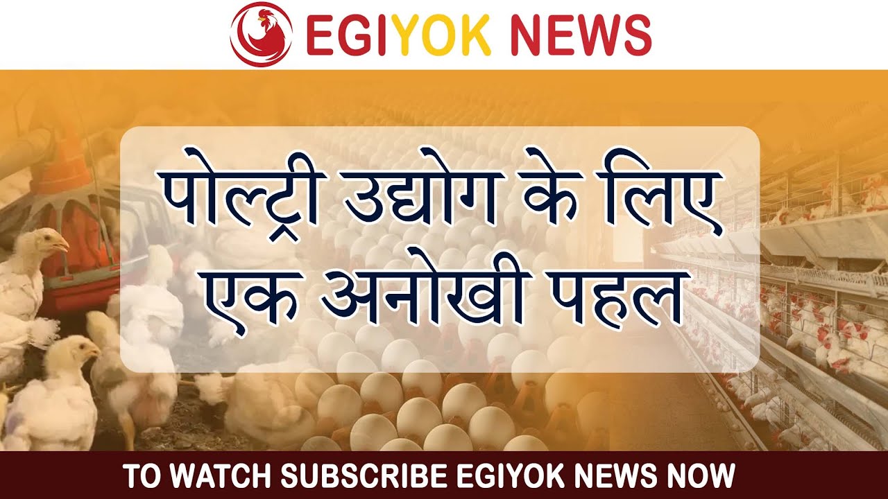 पोल्ट्री उद्योग के कल्याण के लिए Egiyok News की इस पहल का करे सहयोग || Egiyok || Egiyok News ||