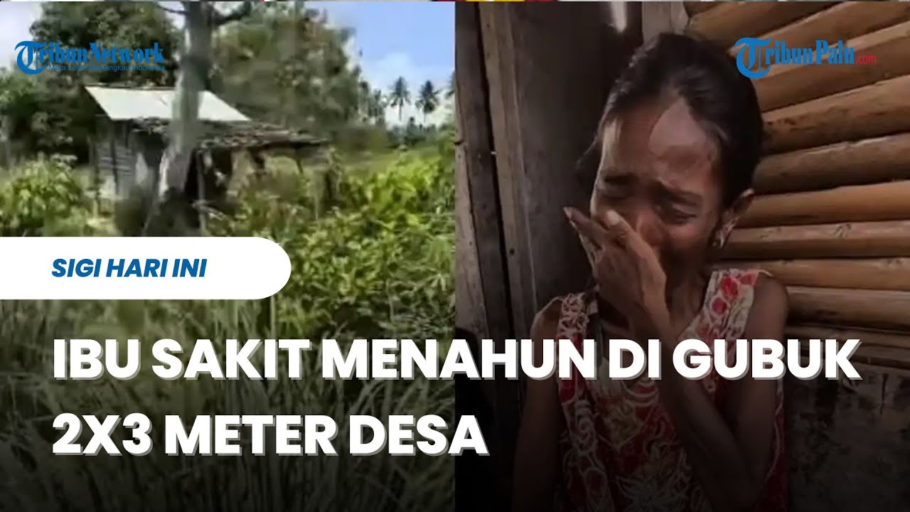 Ibu Sakit Menahun di Gubuk 2x3 Meter Desa Watubula Sigi, Anak Kupas Kelapa Demi Bertahan Hidup
