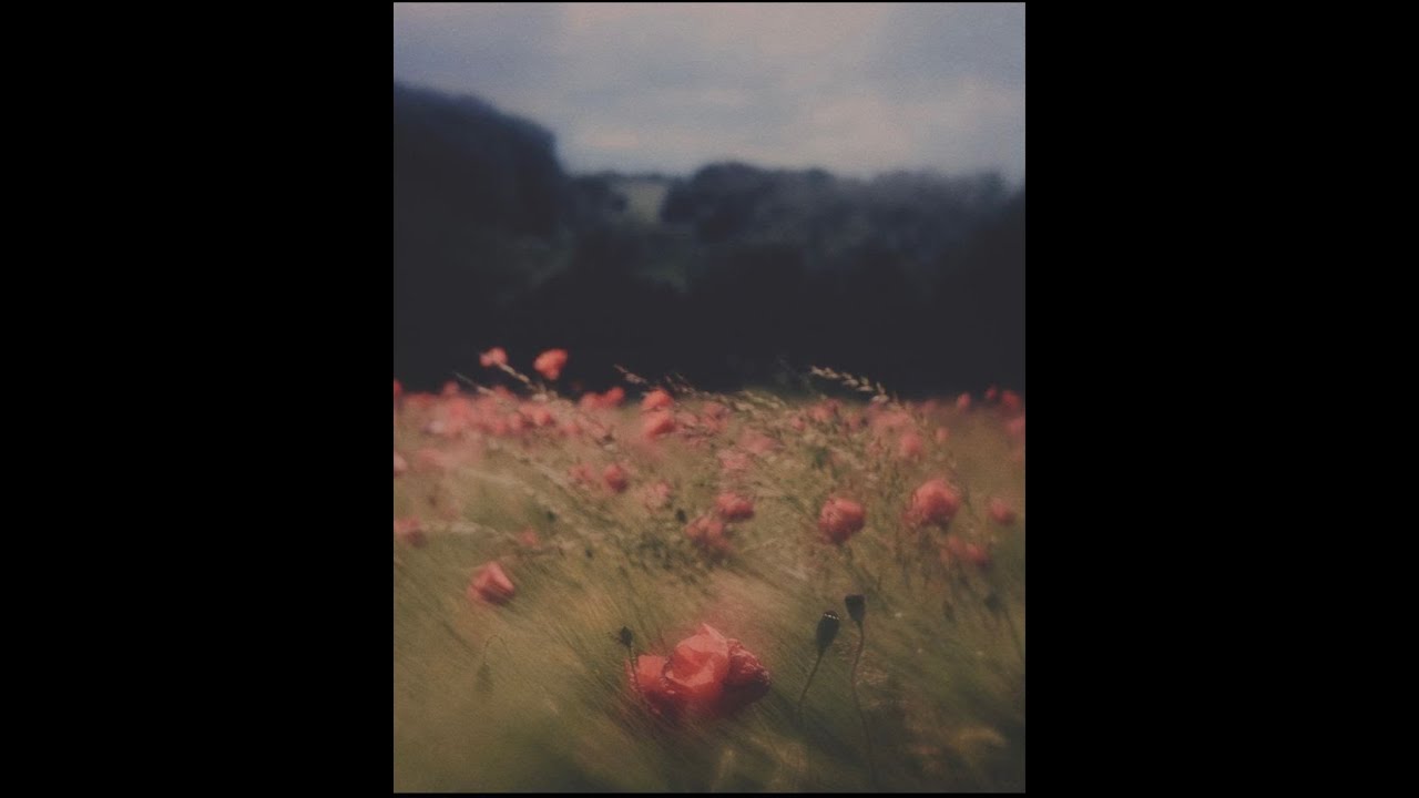 Indie pop x Wifiskeleton x Indie rock type beat- Sea Side