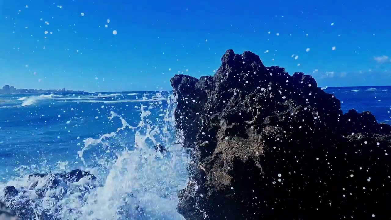 A moment of contemplation with the sea 