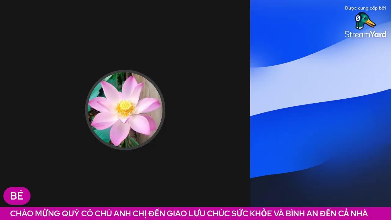 tập ca hát cả nhà ơi