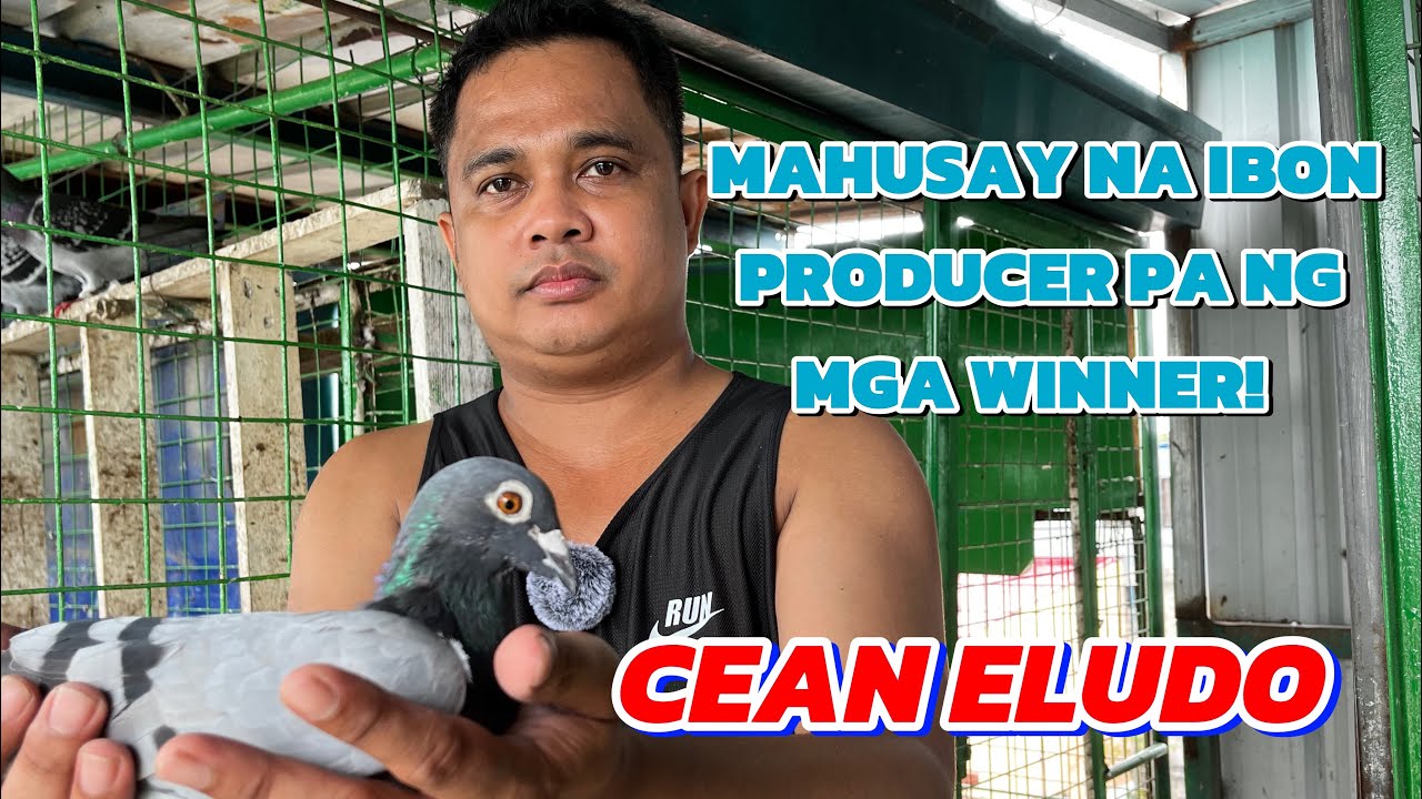 KALAPATING MADISKARTE KAYA HUMAKOT NG MALAKE SA POOLING! 