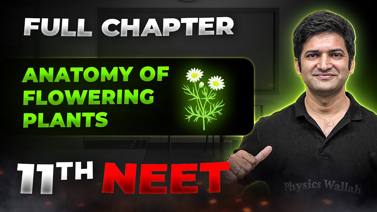 Anatomy of Flowering Plants FULL CHAPTER | Class 11th Botany | Arjuna NEET
