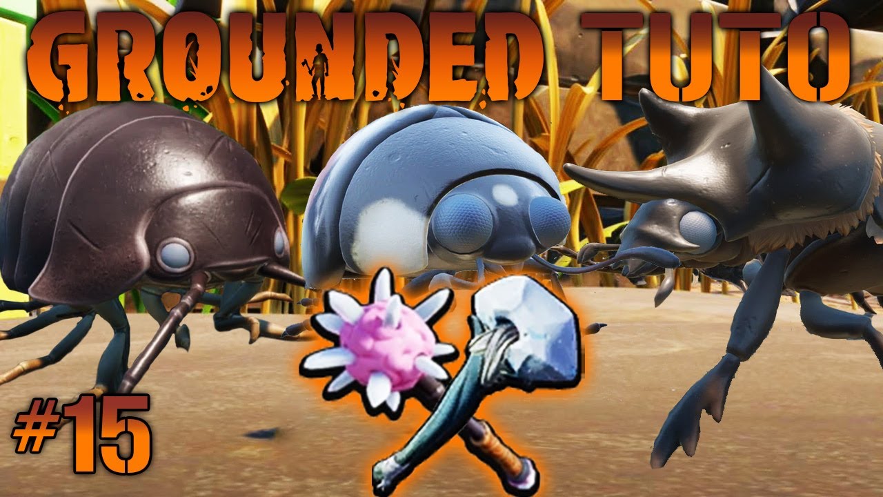 [ TUTO / GUIDE ] GROUNDED #15 MEILLEURE ARME POUR BATTRE : CLOPORTE SCARAB&Eacute;E BOEUF & COCCINELLE