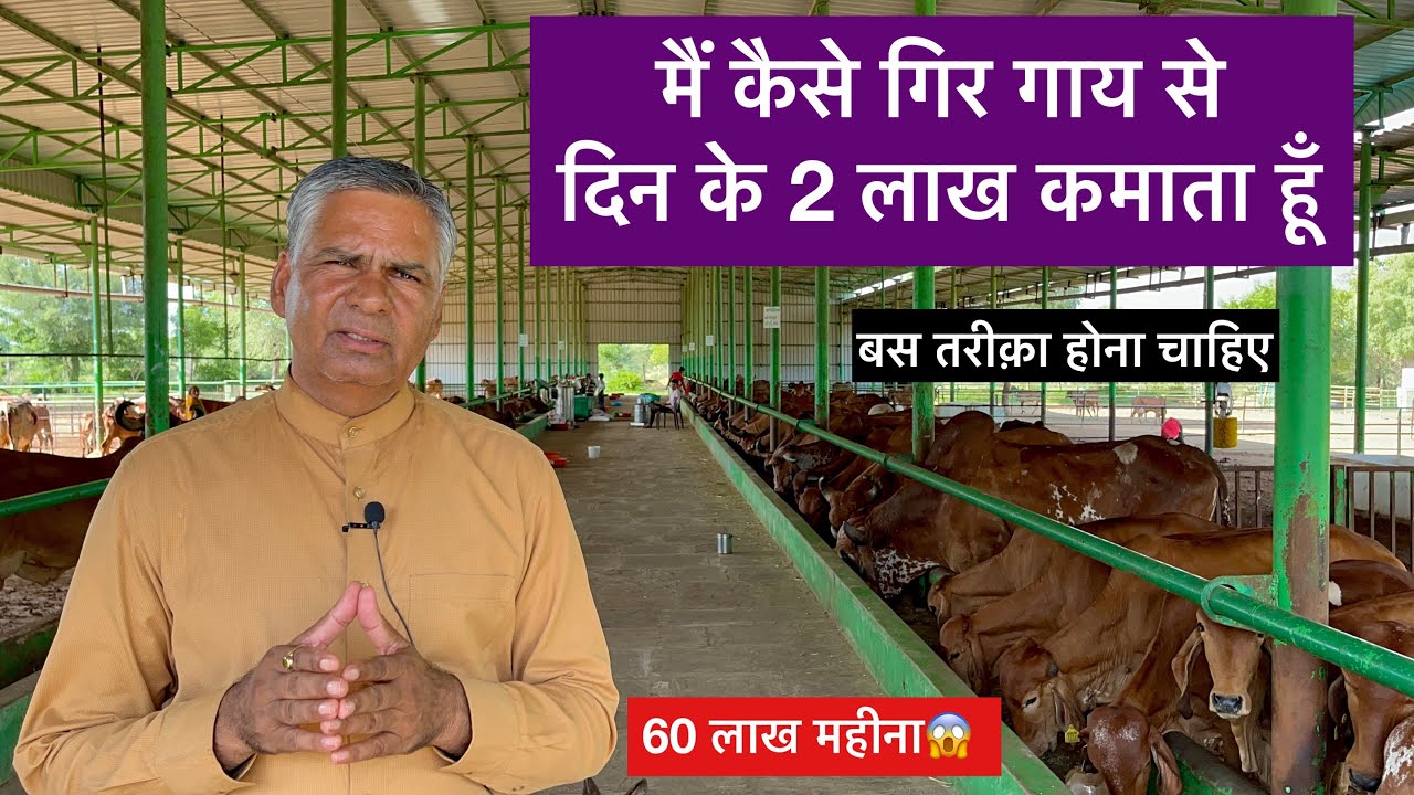 गिर गाय से 2 लाख दिन के कैसे कमाए😱- How to earn high money from gir cow dairy farm