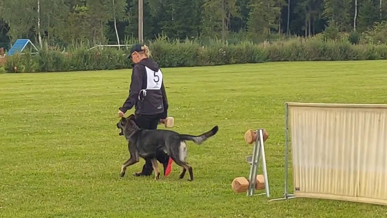 kuulekus IGP2