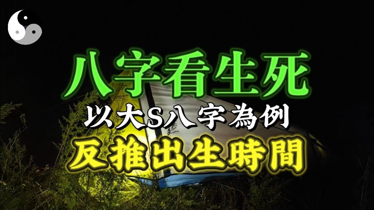 【大S辛金案例】解析如何在不知出生時間下準確反推時柱  | 辛金身强八字案例｜周易道家文化｜中國傳統文化 ｜阴阳五行 ｜天干地支