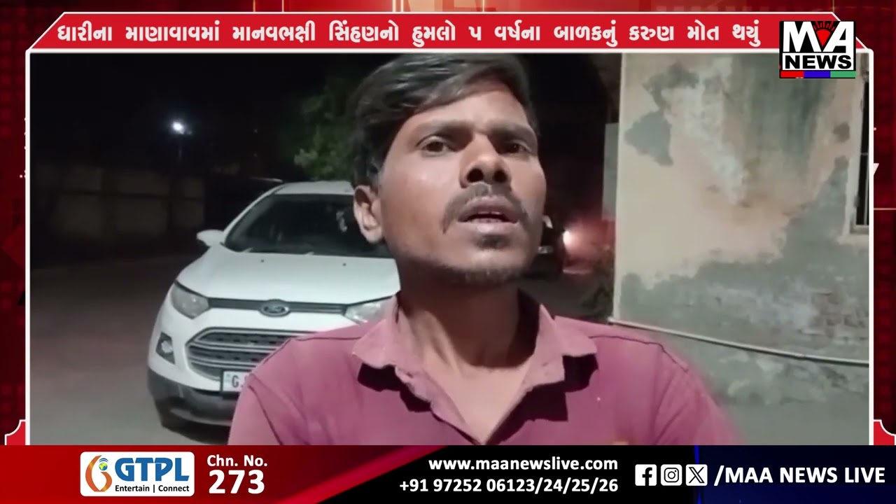 ધારીના માણાવાવમાં માનવભક્ષી સિંહણનો હુમલો 5 વર્ષના બાળકનું કરુણ મોત થયું