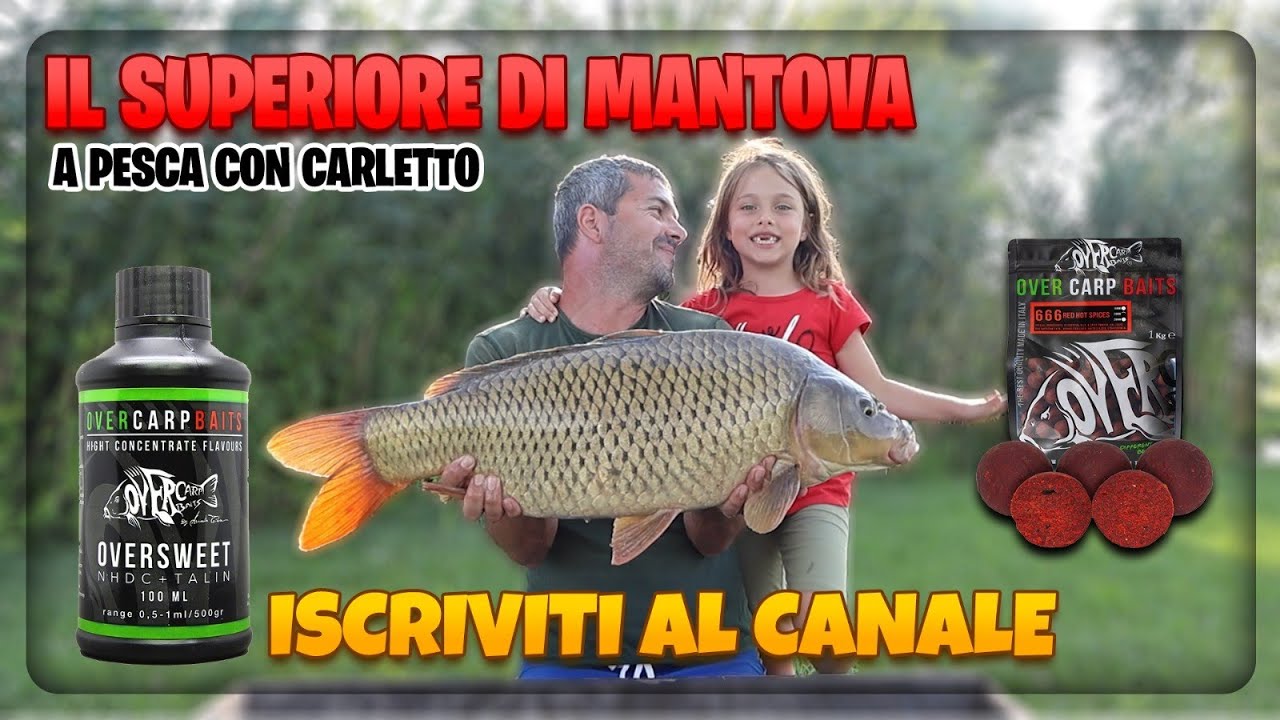 Lago  Superiore di Mantova | carpfishing vlog | a pesca con Carletto #carpfishing #carpfishingitalia