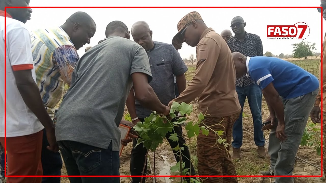 Burkina Faso : Le Commandant Ismaël Sombié sur des chantiers agricoles