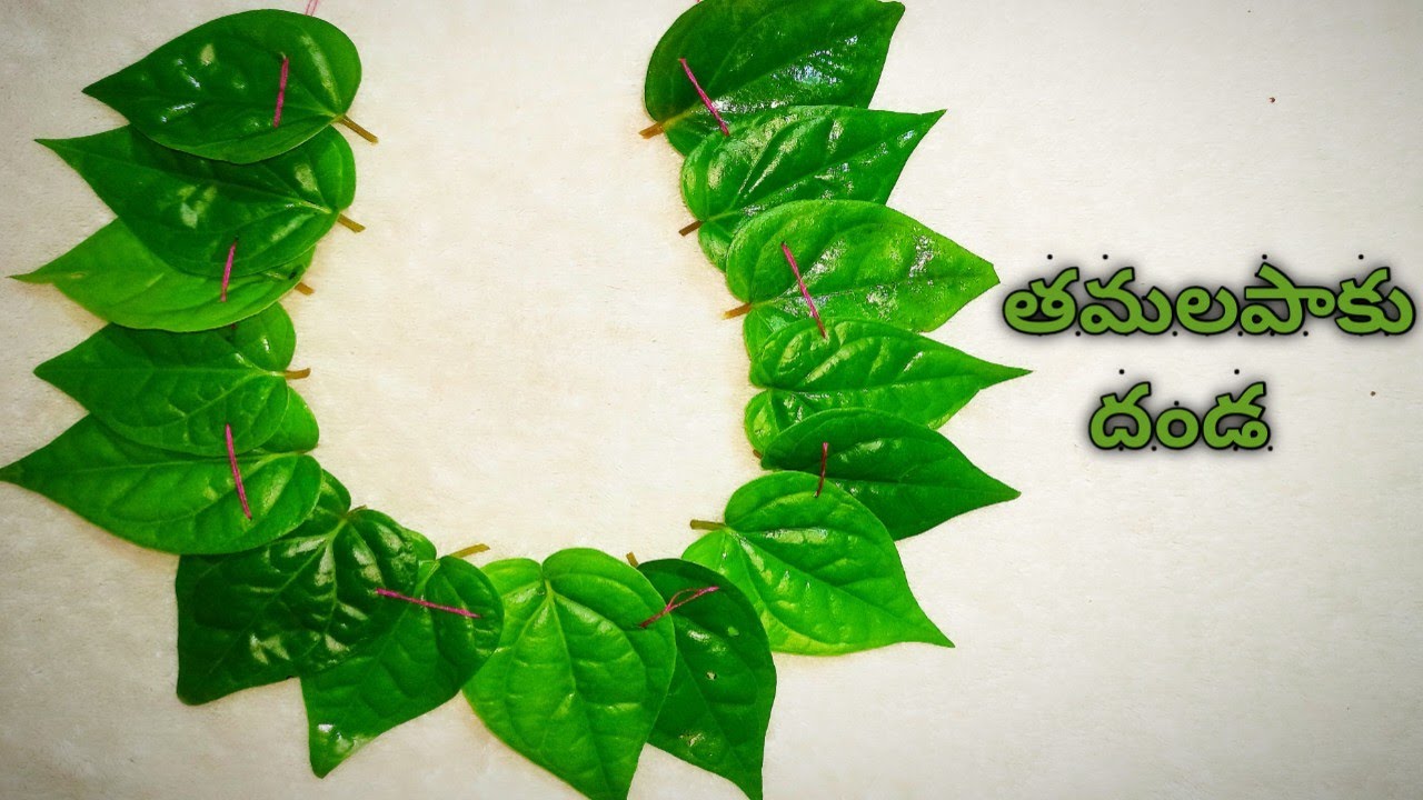 Betel Leaf Garland for Lord Hanuman blessings || How to get Lord Hanuman Blessings || mini me # 40