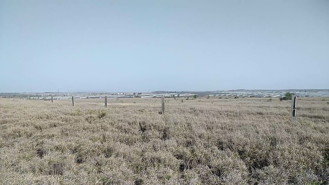 Wandoan Solar Farm and Battery