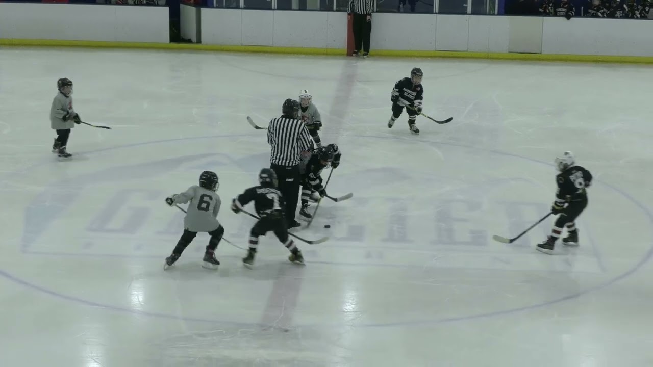 Chicago Reapers vs Minnesota Blades - U8 AAA hockey - 4/21/23