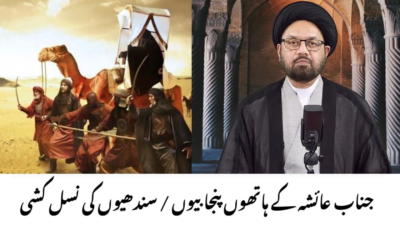 Genocide of Punjabi/sindhi by Janab Ayesha | Maulana Syed Shahryar Raza Abidi