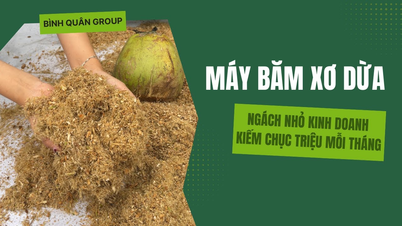 Máy Băm Xơ Dừa | Ngách Nhỏ Kinh Doanh Kiếm Chục Triệu Mỗi Tháng