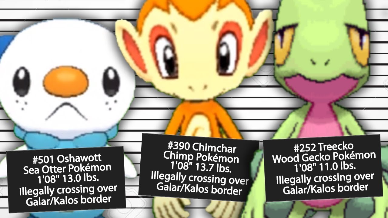 You're Missing The Point Of The National Dex Controversy In Pokémon Sword & Shield