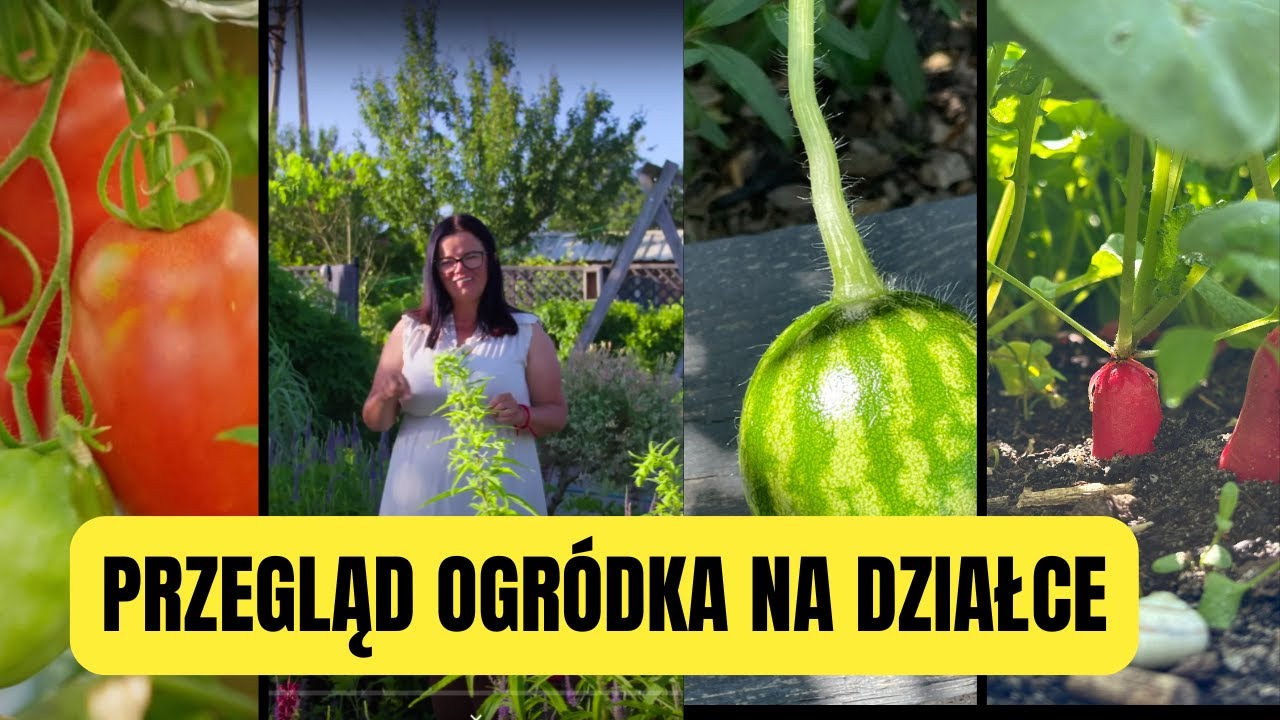 PRZEGLĄD OGRÓDKA NA DZIAŁCE | Kasia in