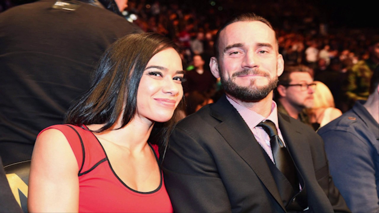 WWE Couples 2018 - Top 15 Real Life Wrestling Couples