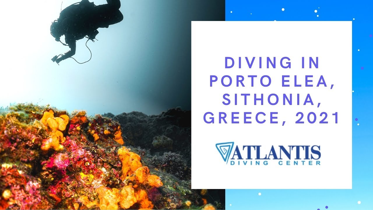 Diving in Porto Elea June 2021