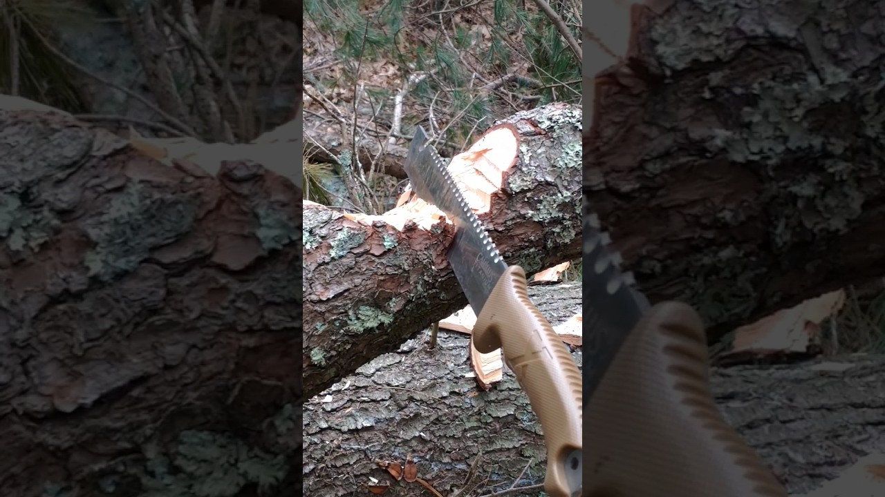 30 chops with the camillus carnivore. #bushcraft #chop @choirboyzcutleryoutdoors#30chopchallenge