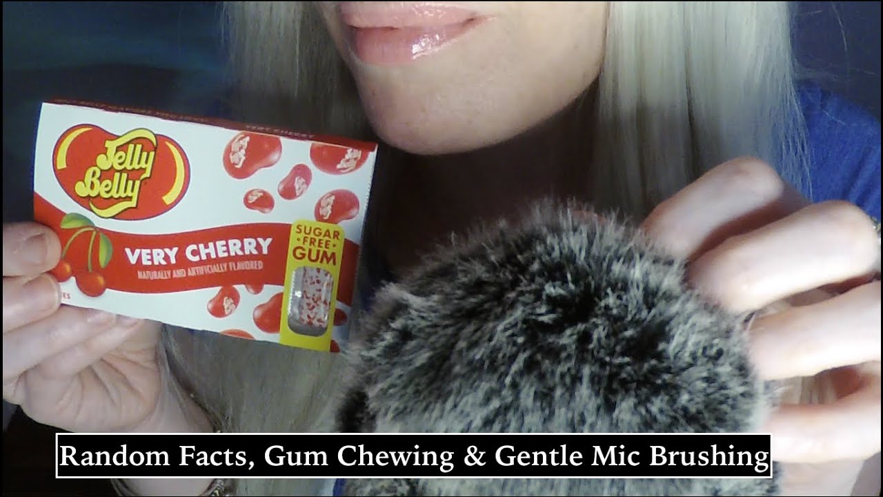 ASMR Gum Chewing, Random Facts, Fluffy Mic Brushing| Whispered