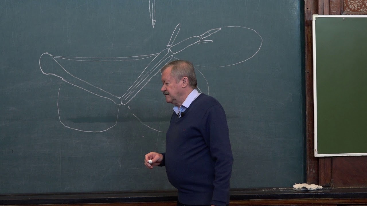 Корзун Л. П. - Зоология позвоночных - 12. Птицы