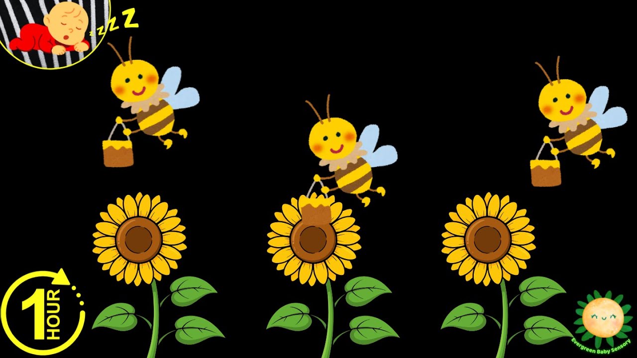Baby Sensory Video | Cute Buzzing Bees in Nature | Calm Visuals for Babies