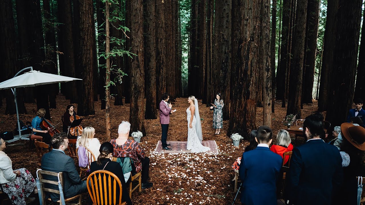 Redwood Forest  Wedding | Amiel & Nathan | Warburton