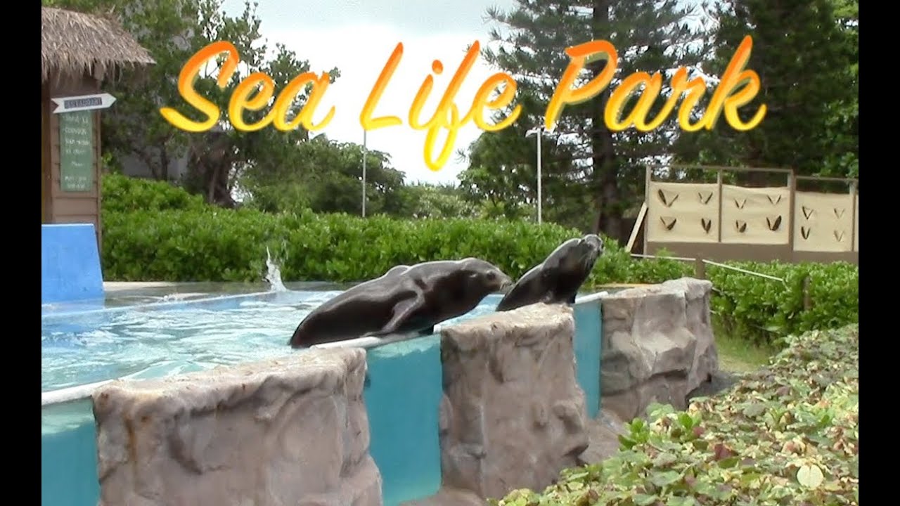 Sea Life Park Hawaii