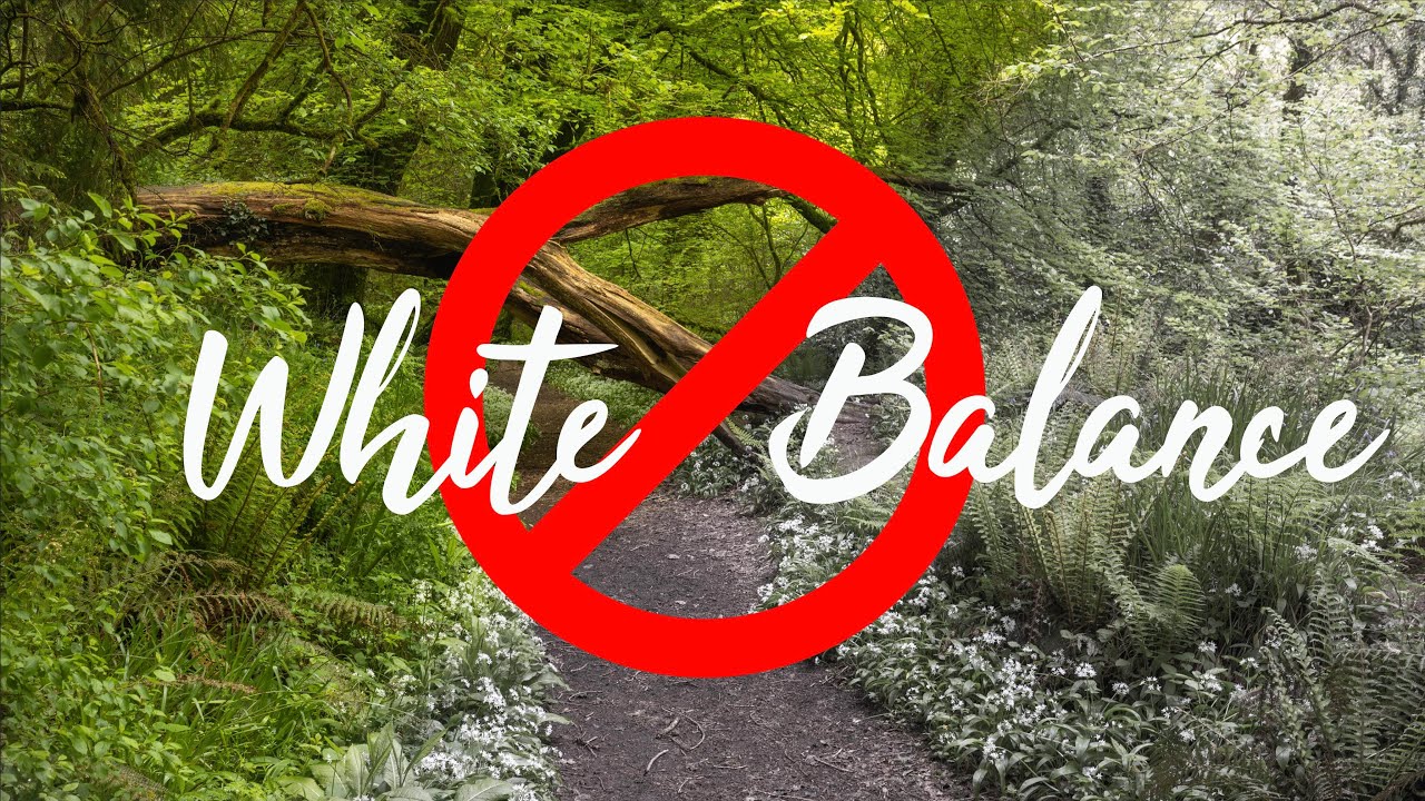 Landscape Photographers: Avoid This White Balance Pitfall!