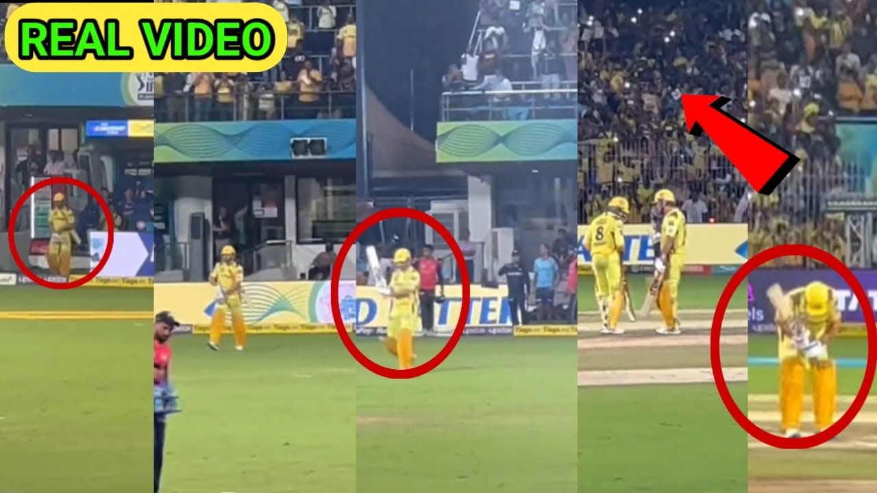 Dhoni's craze while entering the ground in MA Chidambaram stadium | Grand entrance of dhoni