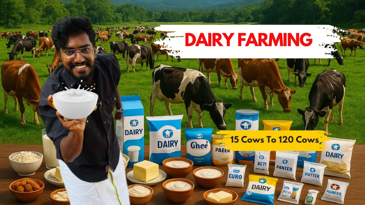 From 15 🐄 to 120 Cows 🥛 | Kerala’s Leading Dairy Farm 🌿 | Agrotill #farming