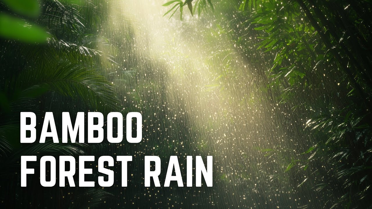 BAMBOO FOREST RAIN | 12 Hours | Black Screen | No Midway Ads | Relax/ Calm Anxiety/ Sleep/ Focus