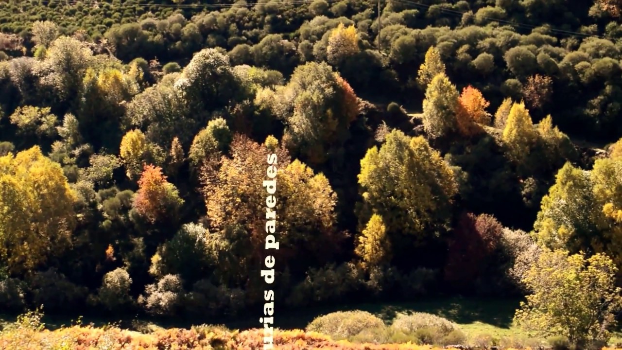 Omaña es naturaleza viva