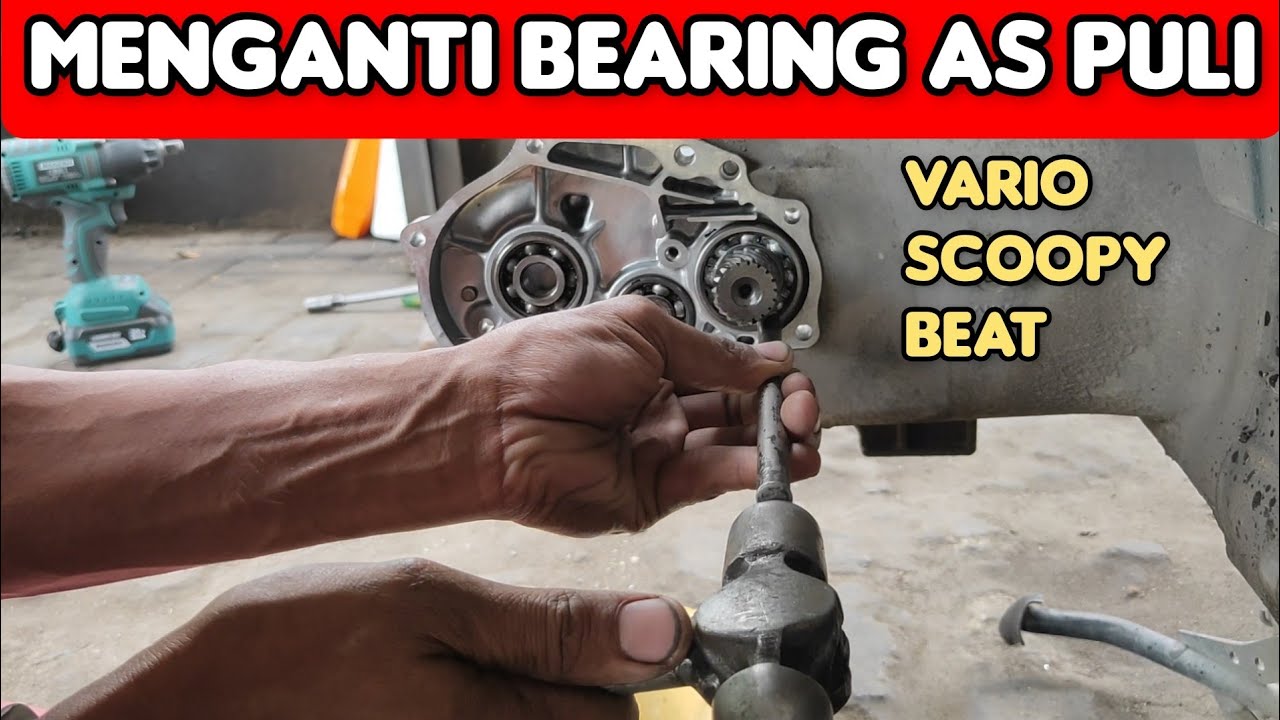 Cara mengganti bearing as puli belakang vario, scoopy, beat