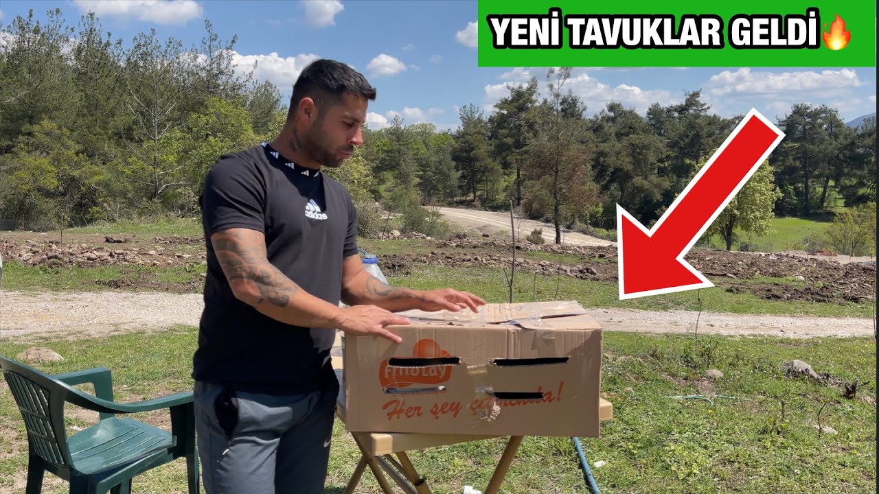 İSVİ&Ccedil;REDEN &Ouml;ZG&Uuml;R HEDİYE TAVUKLAR YOLLADI🫡