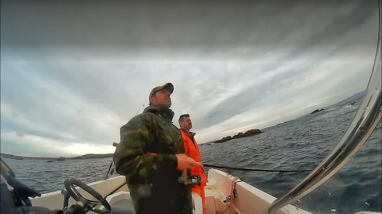 Pesca spinning mar y embalse 2025 en Galicia lubinas y grandes truchas